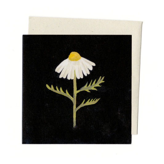 Chamomile | Card