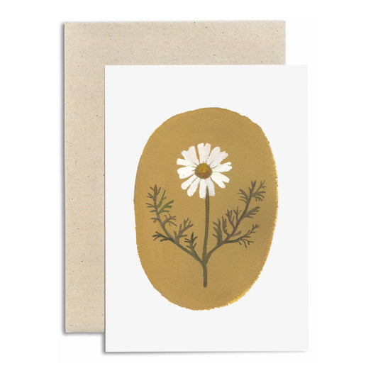 Corn Chamomile | Card