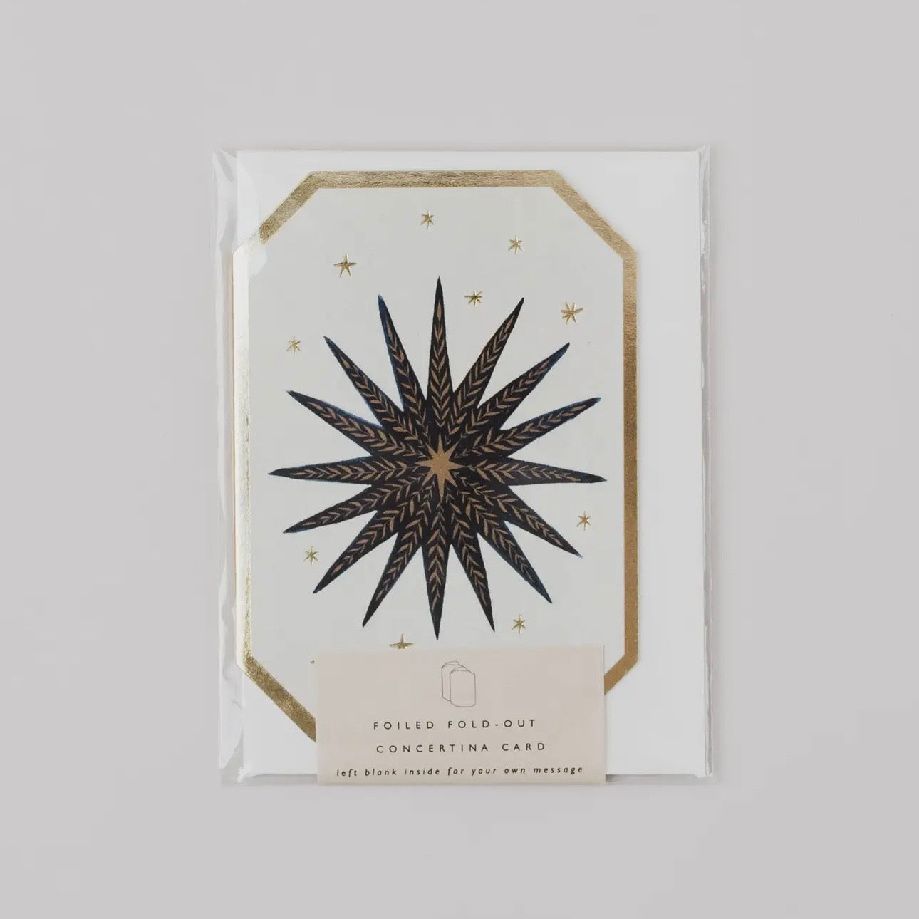 Celestial Moon Star Sun | Concertina Card