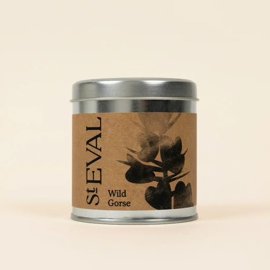Wild Gorse | Tin Candle