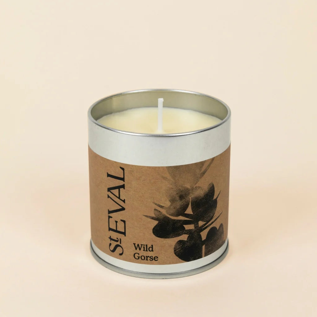 Wild Gorse | Tin Candle