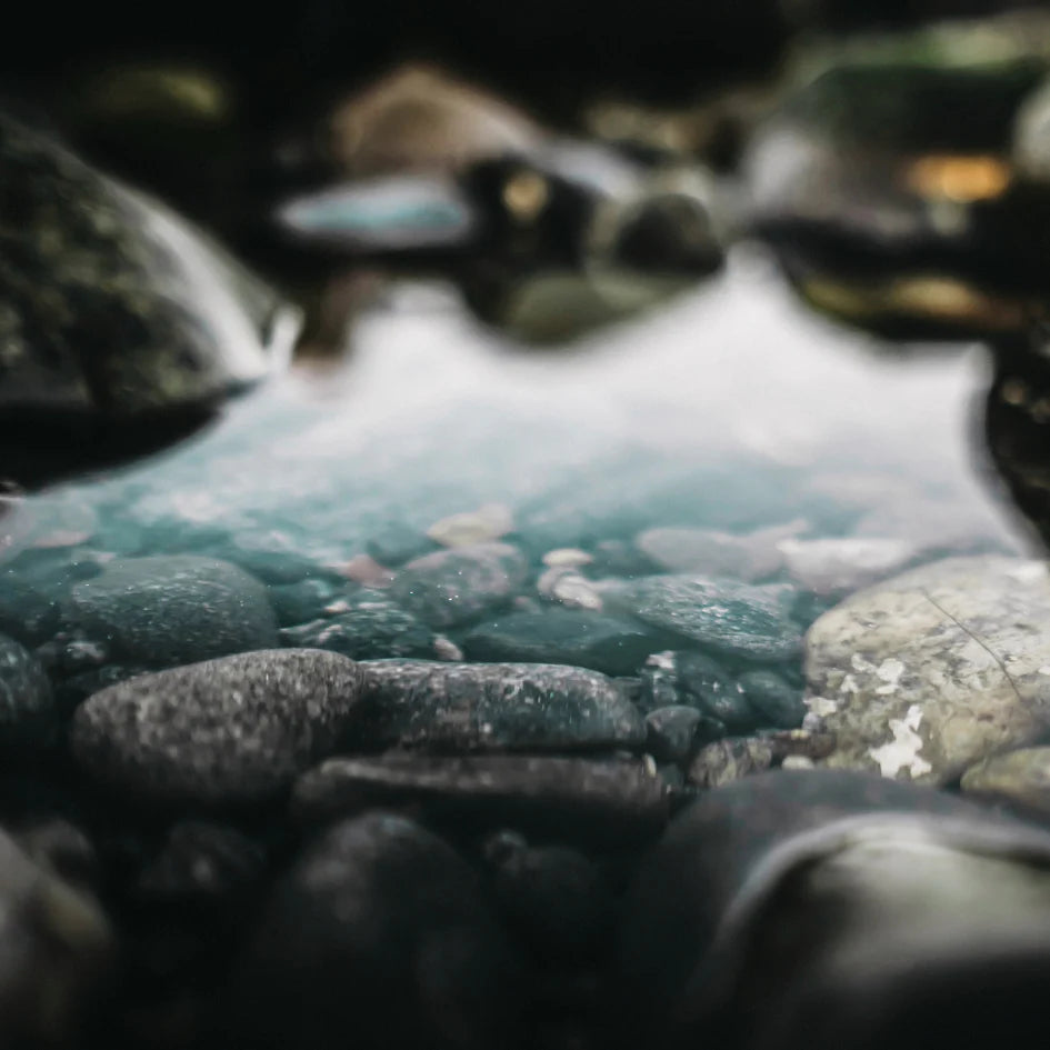 Tranquillity | Tin Candle