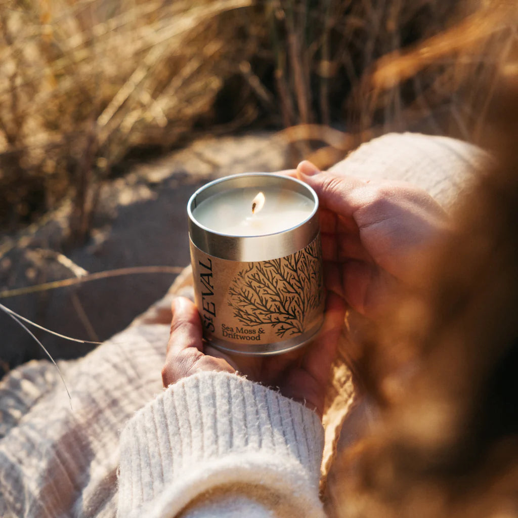 Sea Moss + Driftwood | Tin Candle