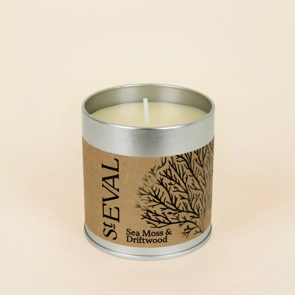 Sea Moss + Driftwood | Tin Candle