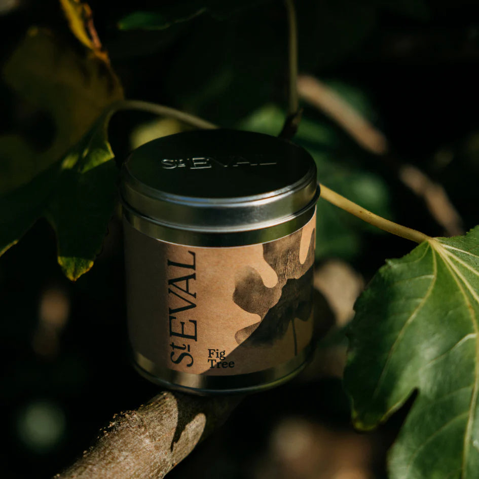 Fig Tree | Tin Candle