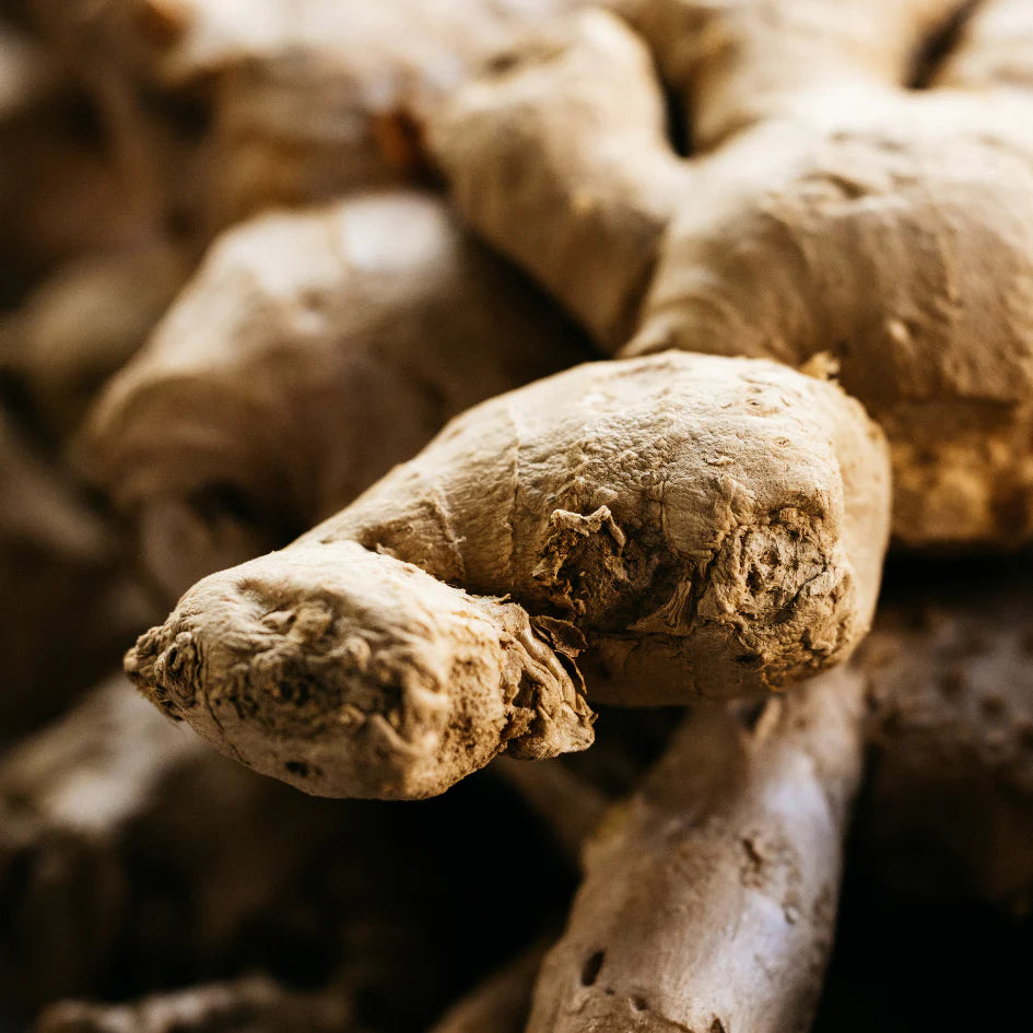 Ginger + Lemongrass Diffuser Refill