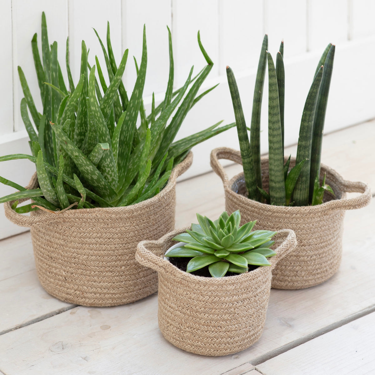 Woven Jute Plant Pots | Natural