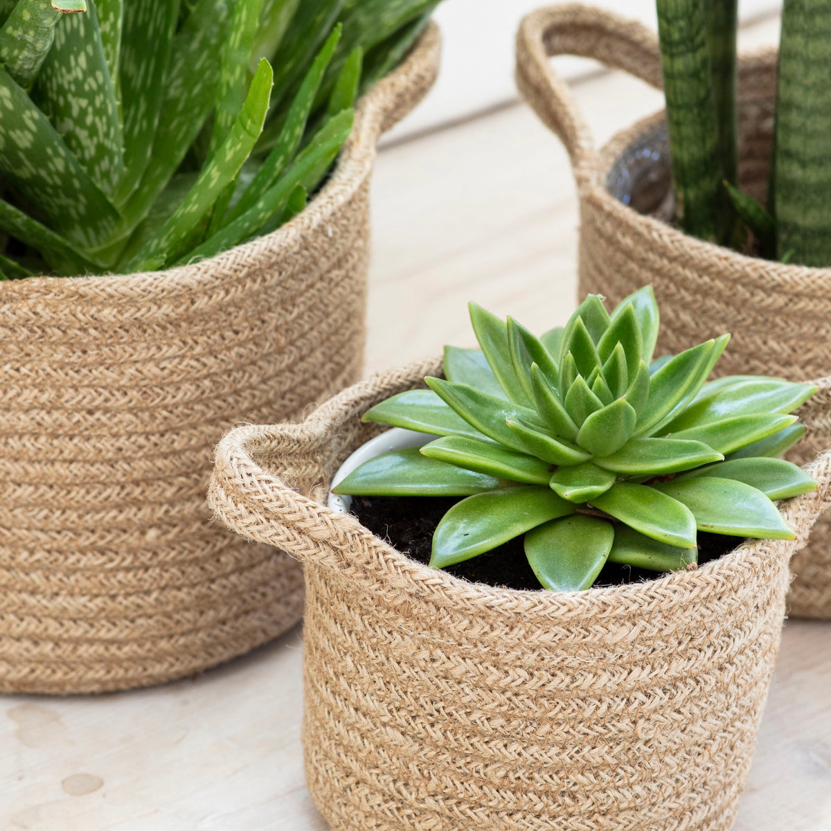 Woven Jute Plant Pots | Natural