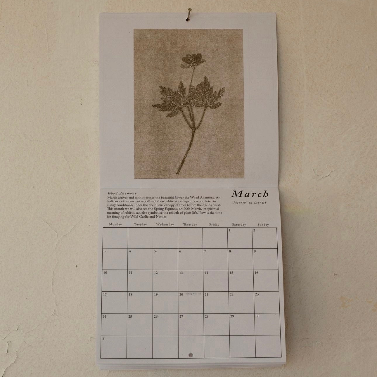 Botanical Calendar 2025