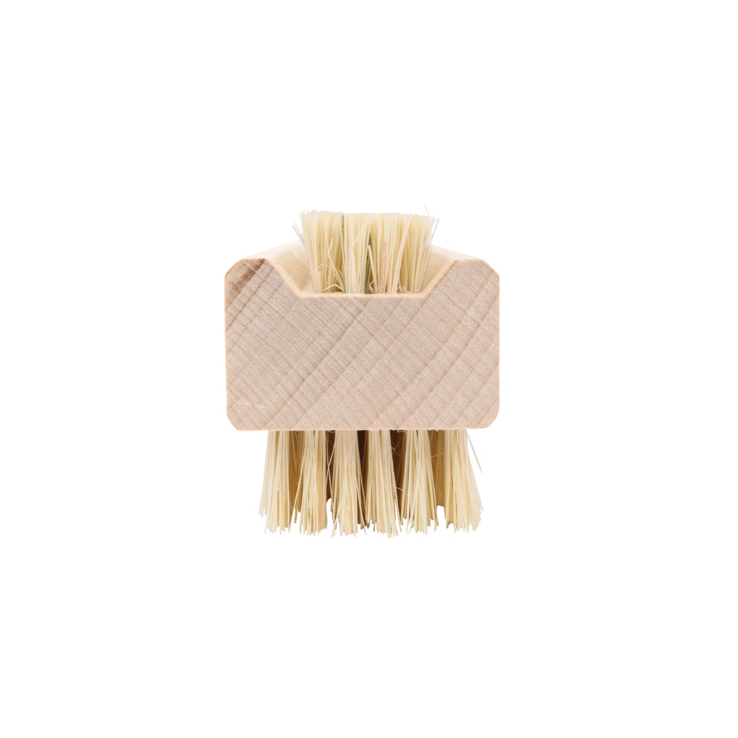 Nail Brush