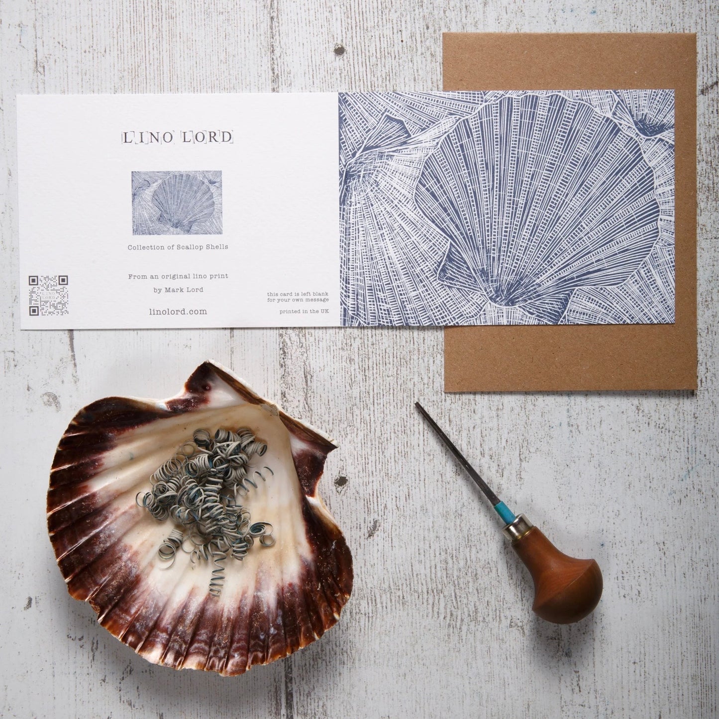 Collection Of Scallop Shells Greeting Card