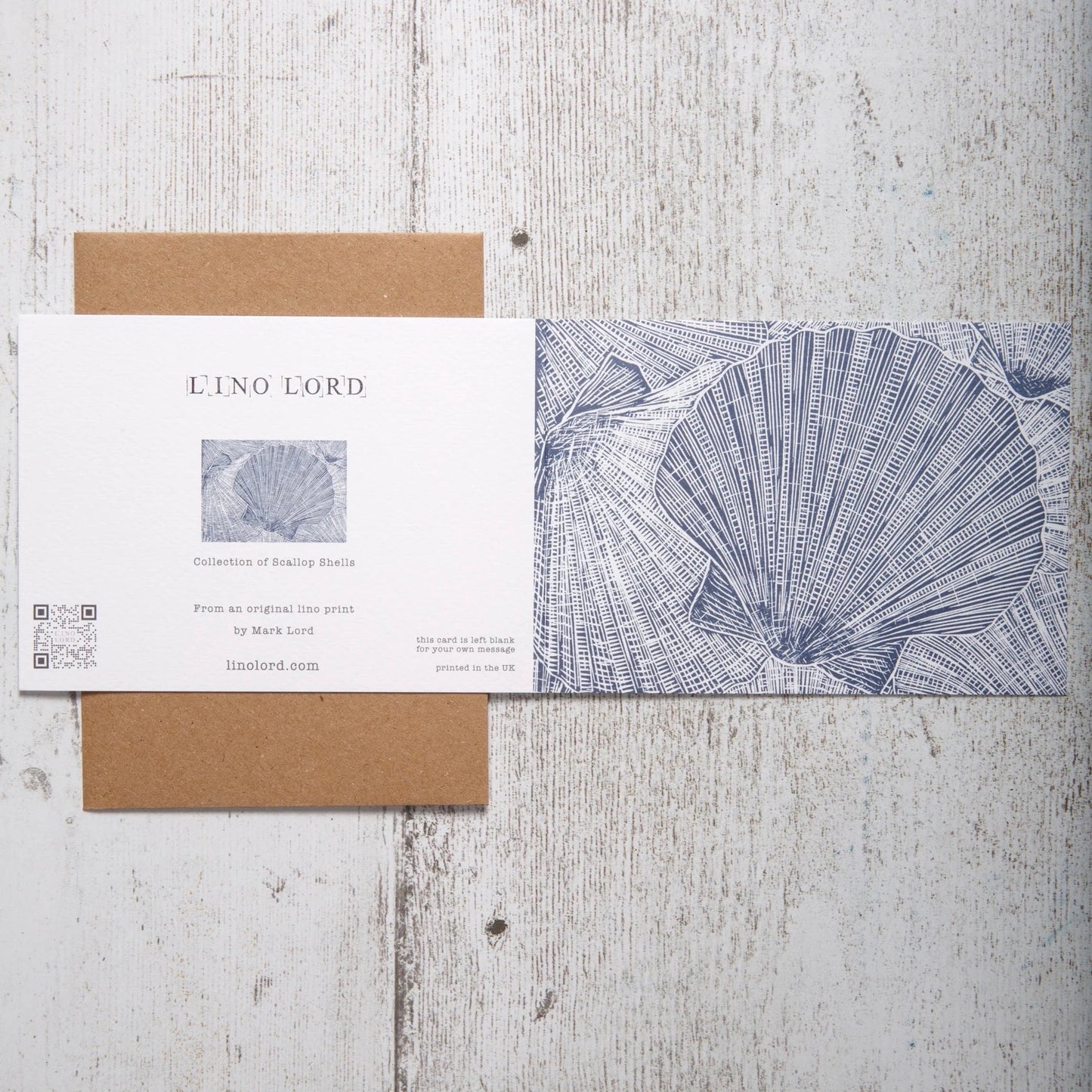 Collection Of Scallop Shells Greeting Card