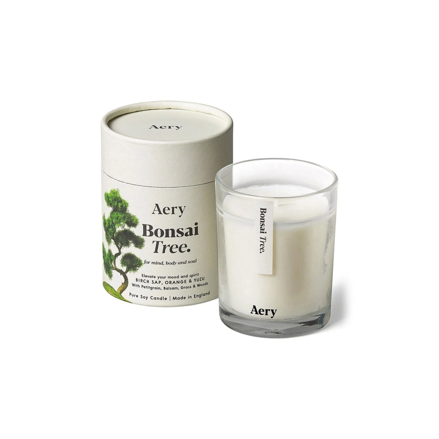 BONSAI TREE Scented Candle