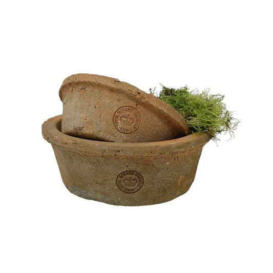 KEW Terracotta Dish Planter Set