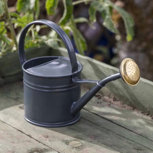 Classic Watering Can 1.5L | Carbon
