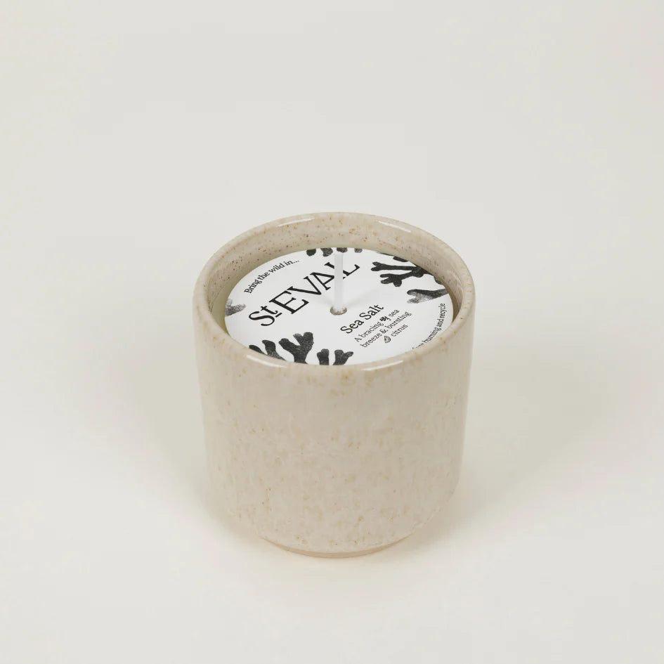Bergamot + Nettle | Sand Dune Ceramic Pot
