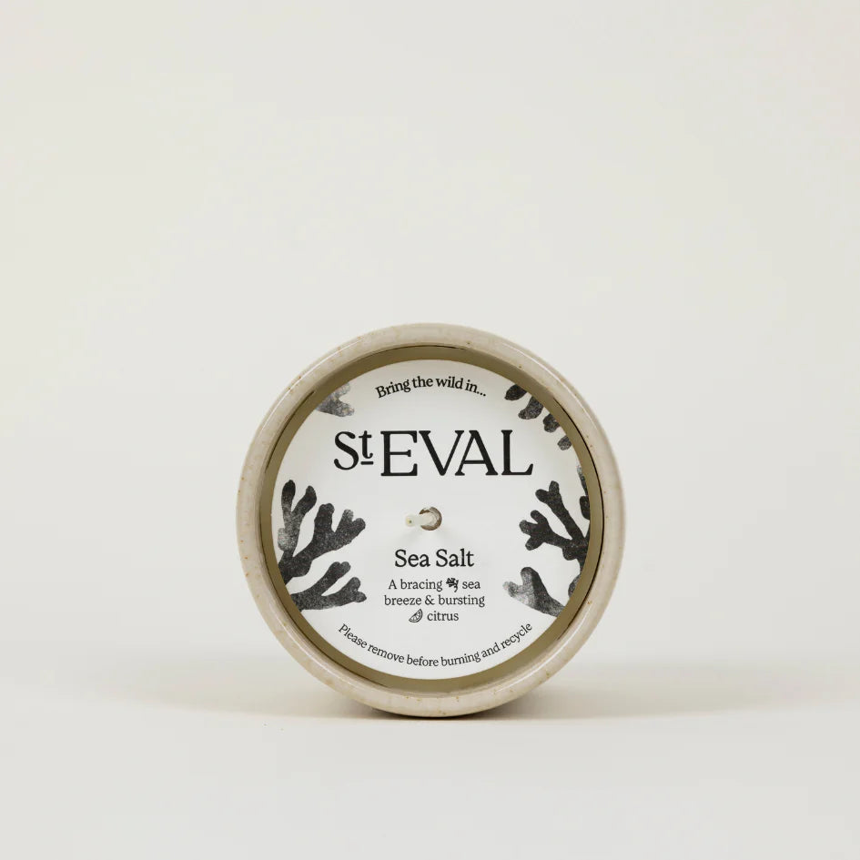 Sea Salt | Sand Dune Ceramic Pot