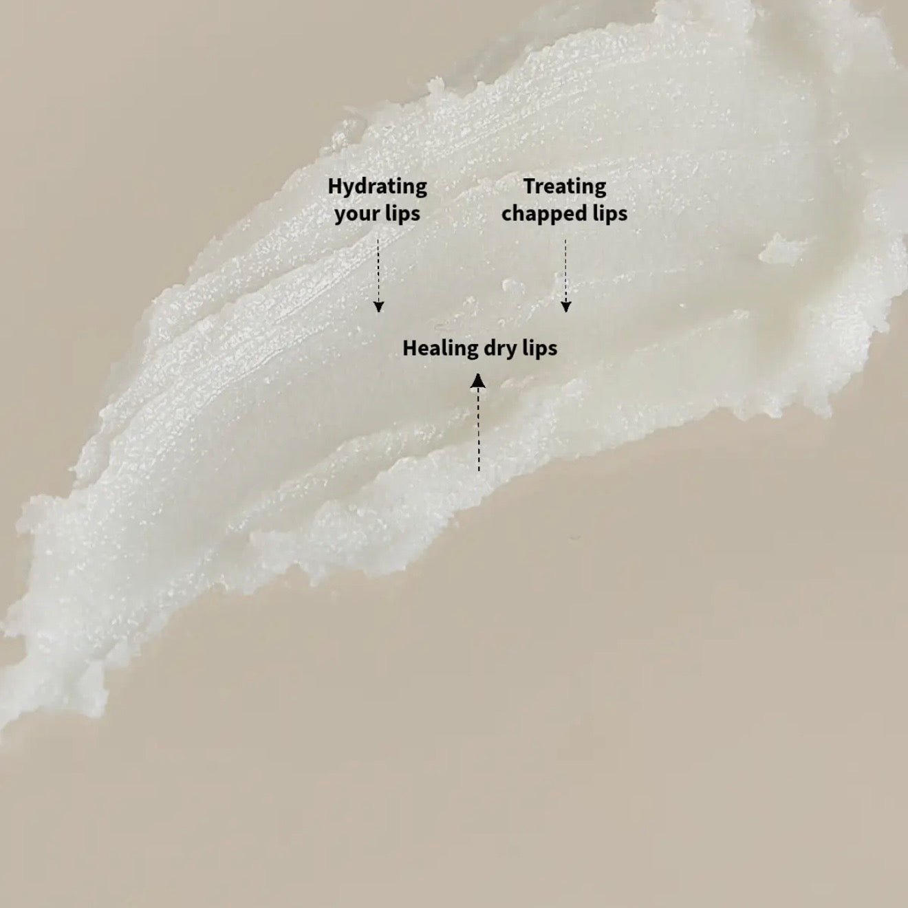 Shea Butter Lip Balm | Rose