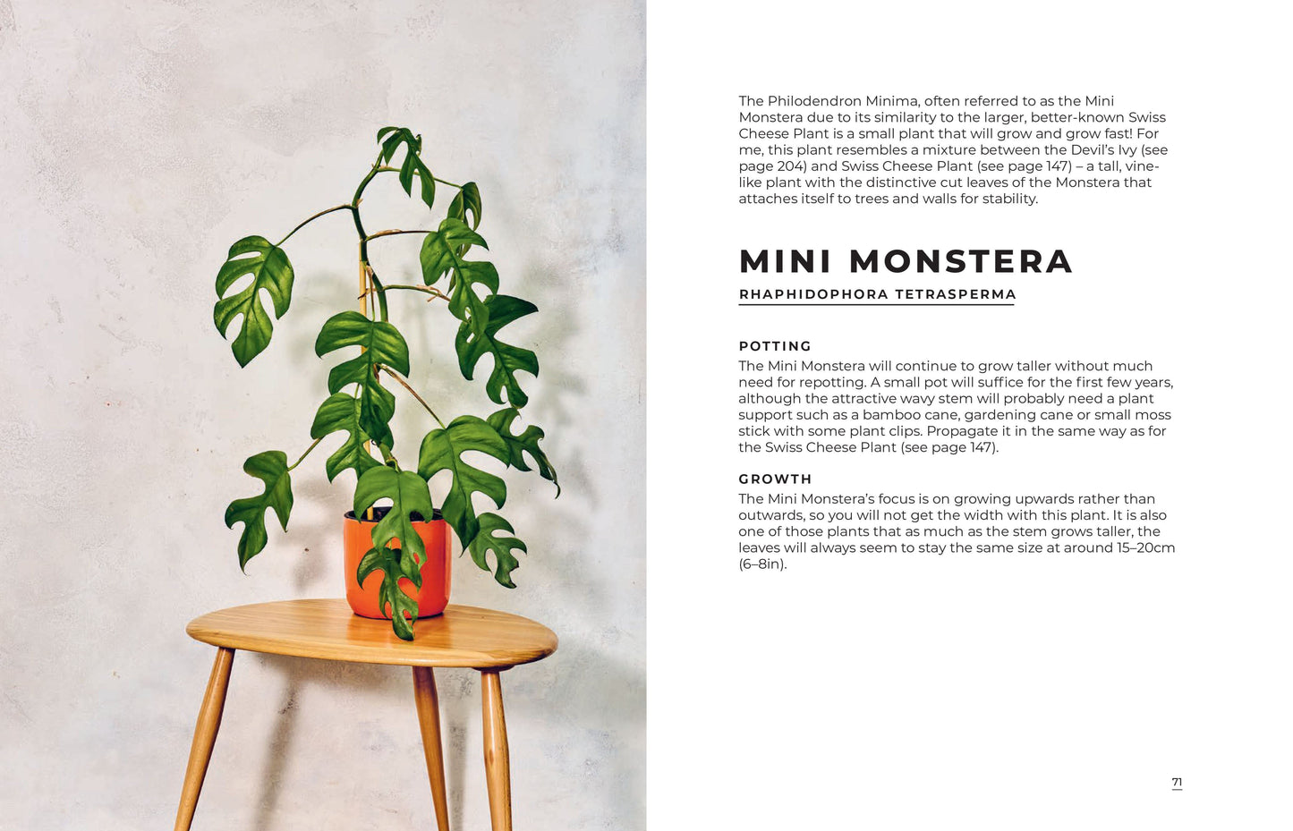 House Plants | Hardback Book