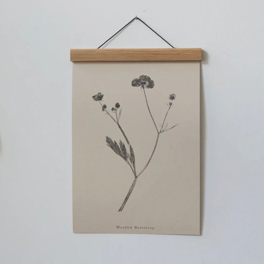 Botanical Art Print A4 | Meadow Buttercup