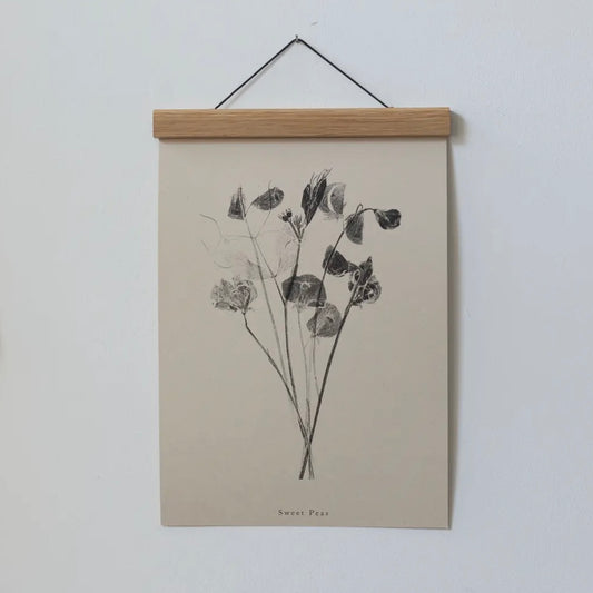 Botanical Art Print A4 | Sweet Peas