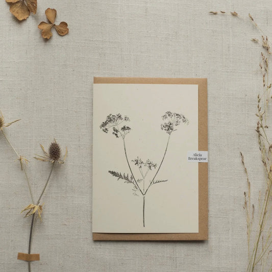 Botanical Greeting Card | Cow Parsley