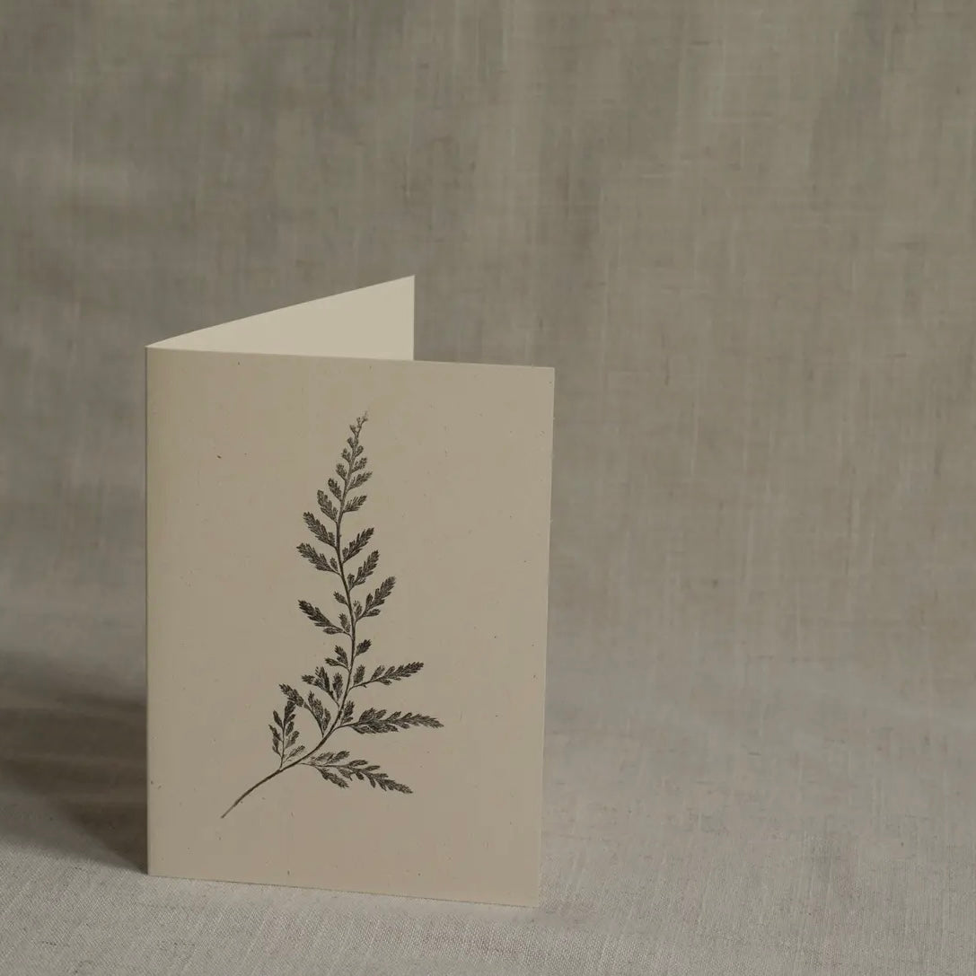 Botanical Greeting Card | Fern