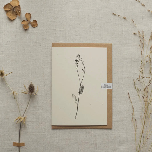 Botanical Greeting Card | Forget-Me-Not