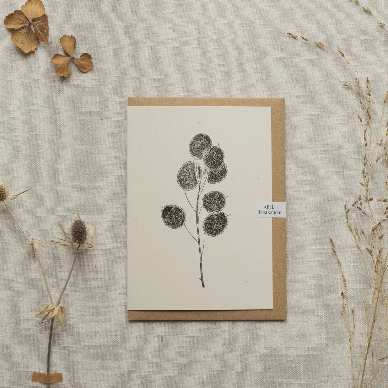 Botanical Greeting Card | Honesty Pods