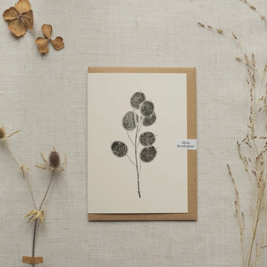 Botanical Greeting Card | Honesty Pods