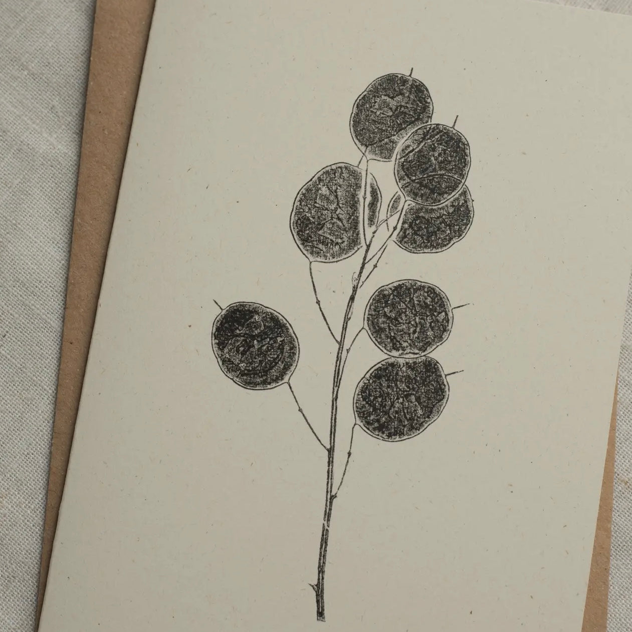 Botanical Greeting Card | Honesty Pods