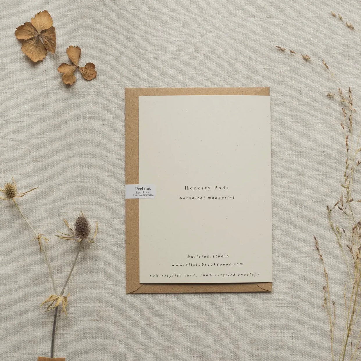 Botanical Greeting Card | Honesty Pods