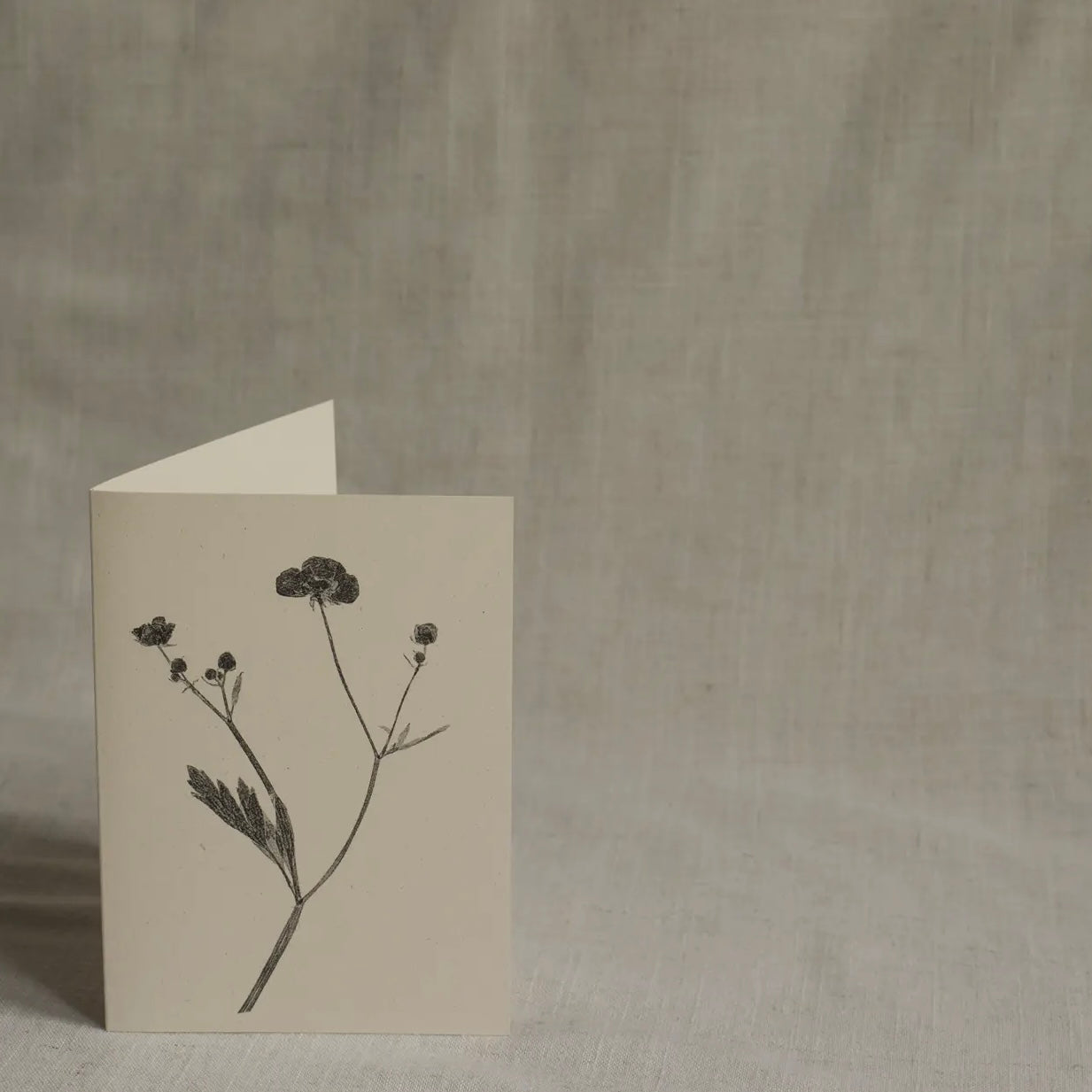 Botanical Greeting Card | Meadow Buttercup