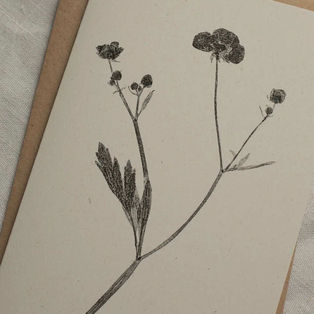Botanical Greeting Card | Meadow Buttercup