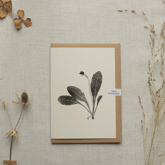 Botanical Greeting Card | Primrose