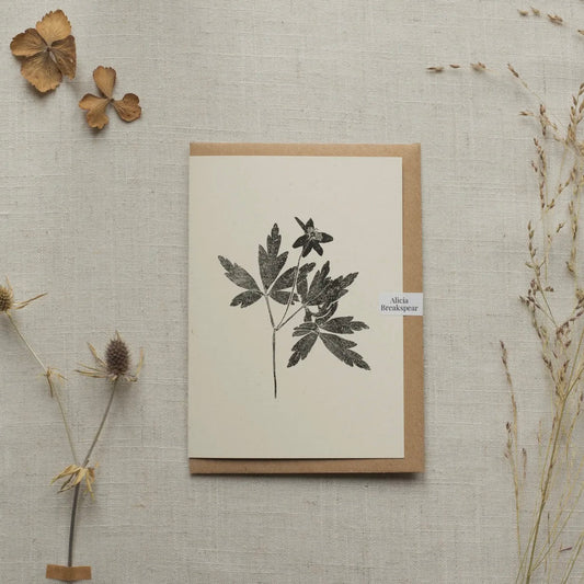 Botanical Greeting Card | Wood Anemone