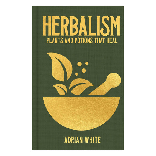 Herbalism | Plants + Potions That Heal