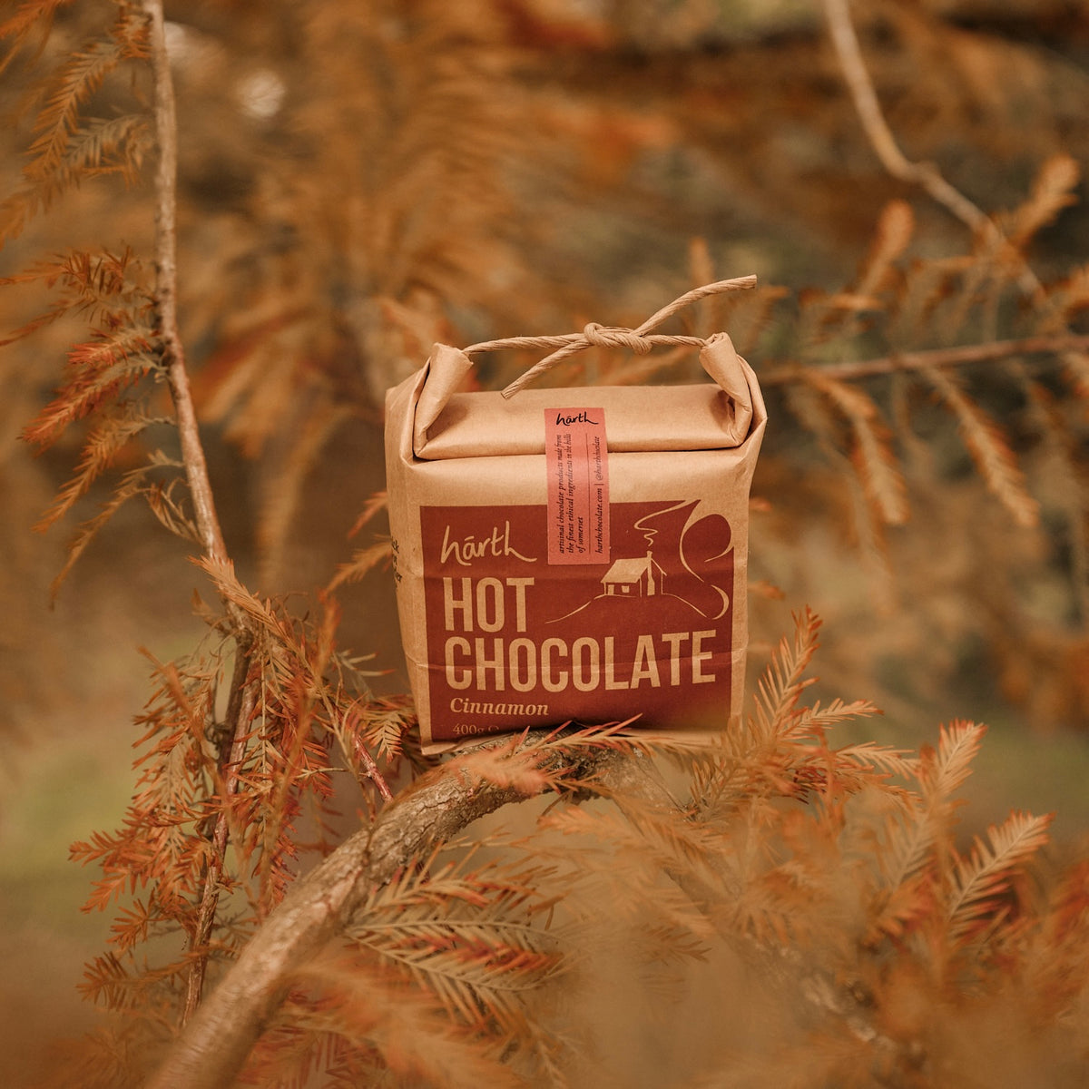 Swiss Cinnamon Hot Chocolate | 400G